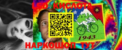 сатива Кудымкар