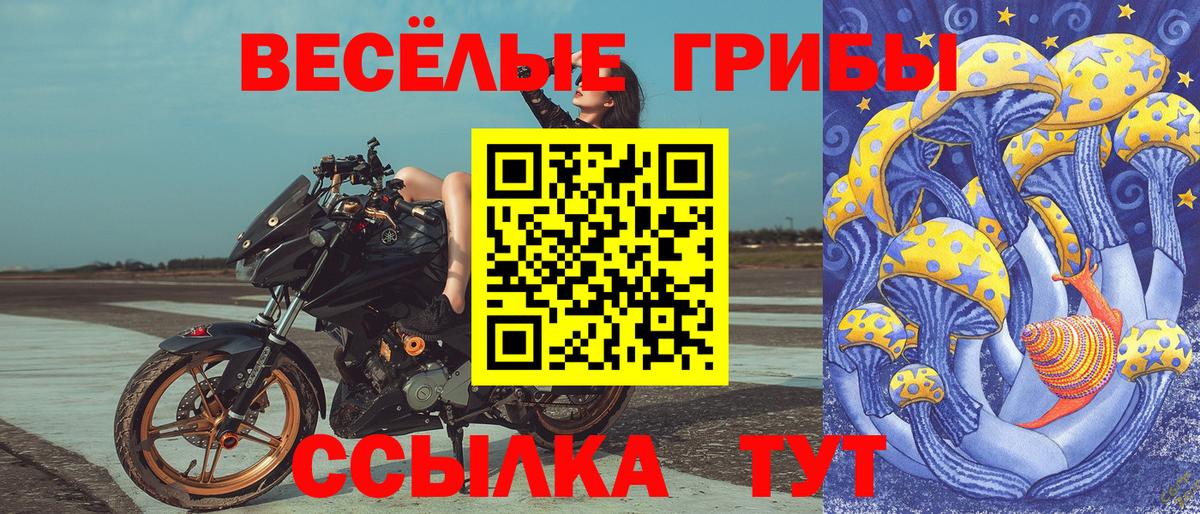 Псилоцибиновые грибы GOLDEN TEACHER  Псилоцибиновые грибы MAGIC MUSHROOMS  Каменск-Шахтинский  Вход с VPN 